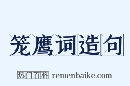 笼鹰词造句是什么意思的图片